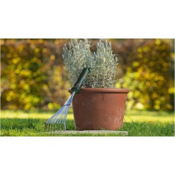 Bosch Bahçe El Tırmığı - 06008B5600