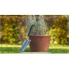 Bosch Bahçe Ekim Malası - 06008B5800