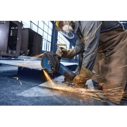 Bosch Expert EXWS30-180B Büyük Taşlama - 06018G0001